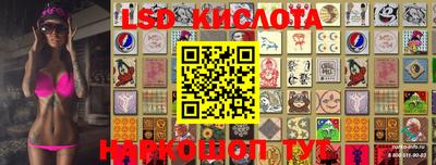 шишки Донской