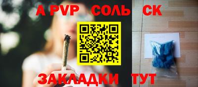 шишки Донской